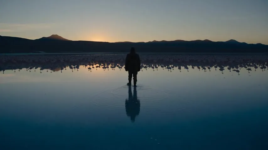 A lone figure standing in shallow water among a flock of flamingos at sunset